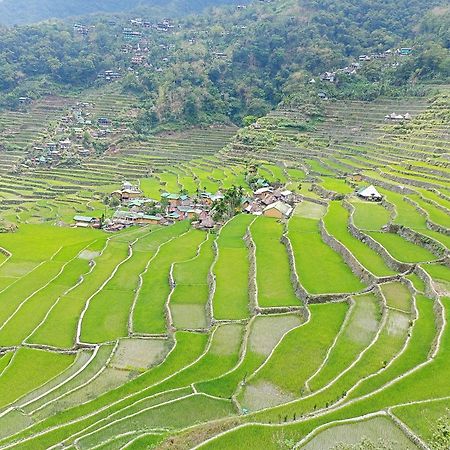 Banaue Transient House Bed And Breakfast 外观 照片