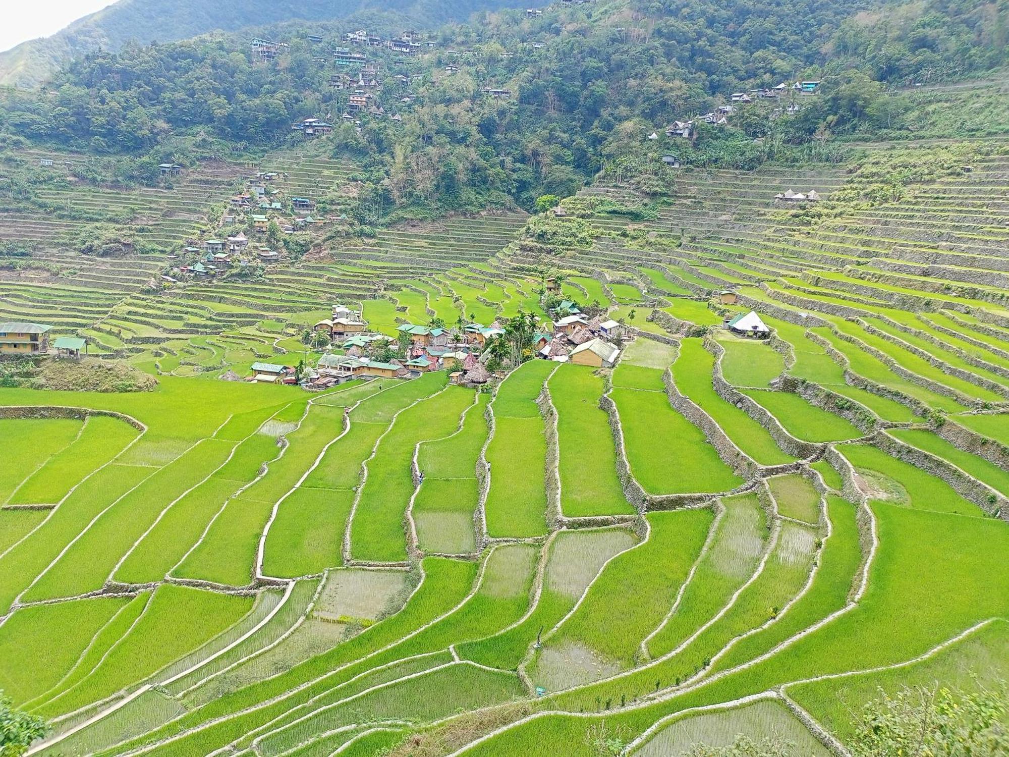 Banaue Transient House Bed And Breakfast 外观 照片